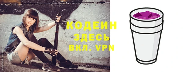 индика Вязники