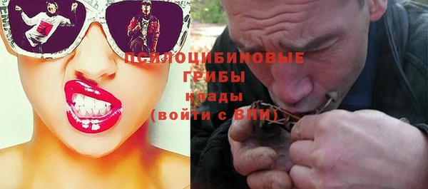 сатива Володарск