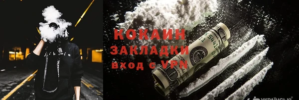 индика Вязники