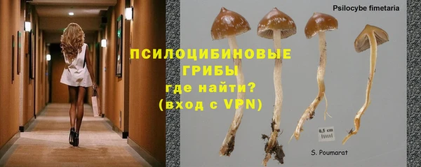 прущая мука Вязьма