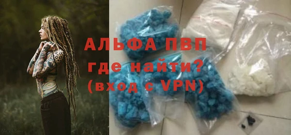 индика Вязники
