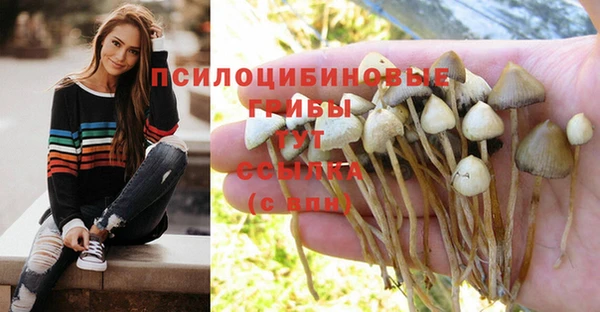 герыч Волоколамск