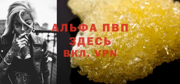 индика Вязники