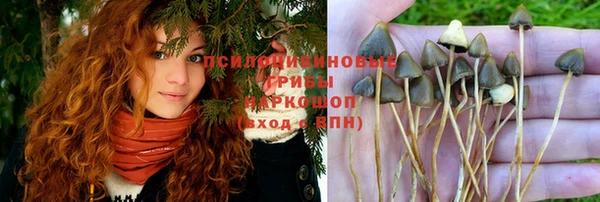 индика Вязники