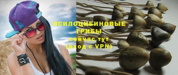 мяу мяу кристалл Вяземский