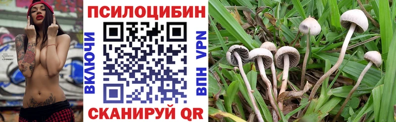 Псилоцибиновые грибы Psilocybe Лянтор